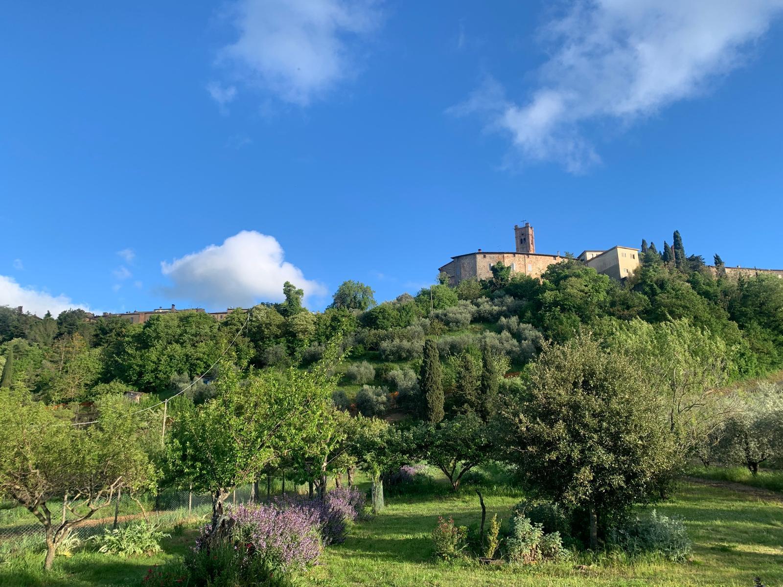 
                                                
                                                    Il Nostro Agriturismo
                                                
                                            