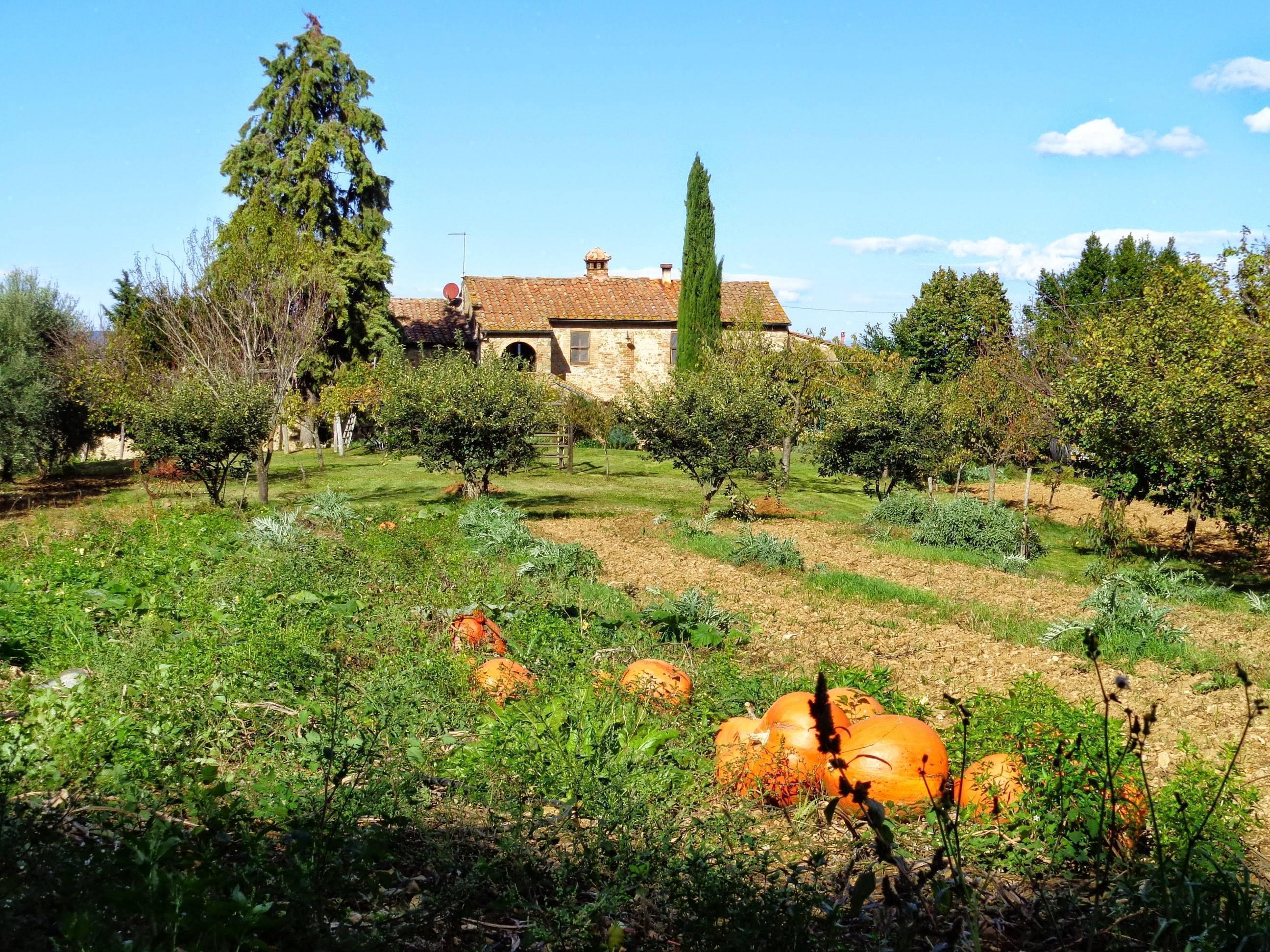 
                                                
                                                    L'Agricoltura
                                                
                                            